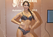    Lingerie-Expo  2013