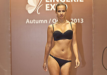    Lingerie-Expo  2013